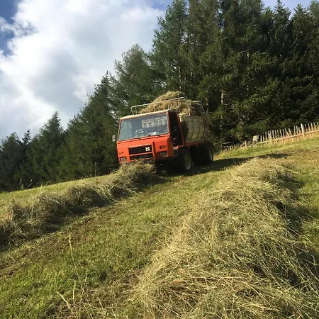 Landhof Adlerhorst *